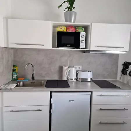 Nefelejcs Studioapartman *