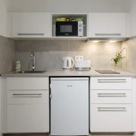 Nefelejcs Studioapartman