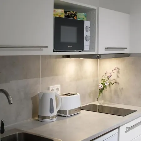 Nefelejcs Studioapartman