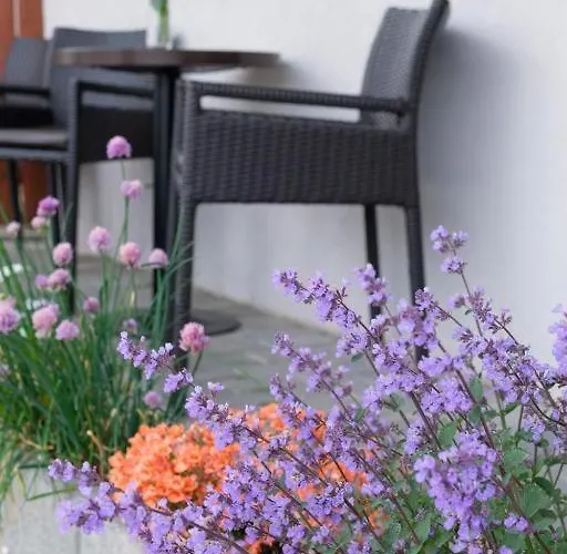 Apartman Nefelejcs Stúdióapartman *